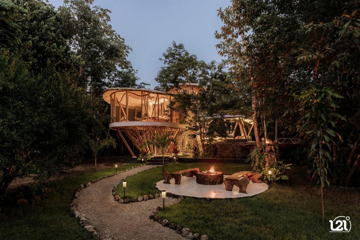 Cuando-la-selva-florece-(1)