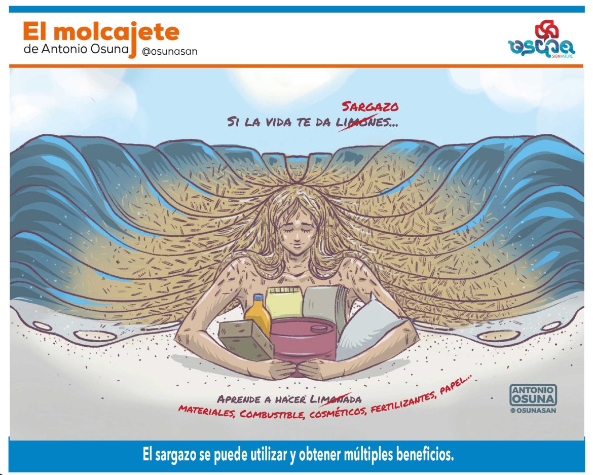 molcajete-agosto-2025-l21