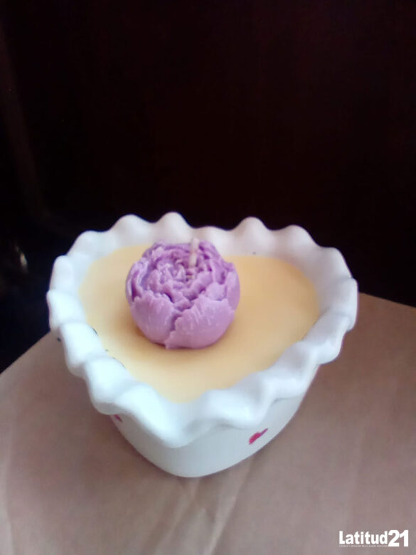 Apiario-Casanova-(29)-2