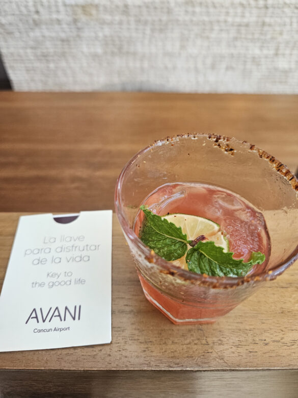 Avani experiencia xiva (30)
