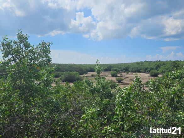 kuza-nuevo-recorrido-(3)